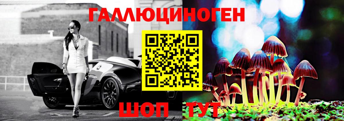 Псилоцибиновые грибы Cubensis  Вход с VPN  Галлюциногенные грибы прущие грибы  Черногорск 