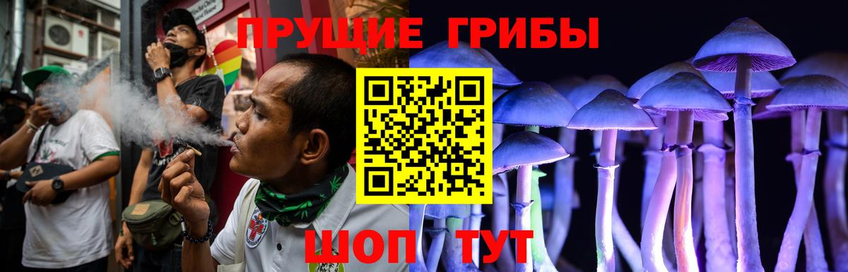 Псилоцибиновые грибы мухоморы Черногорск